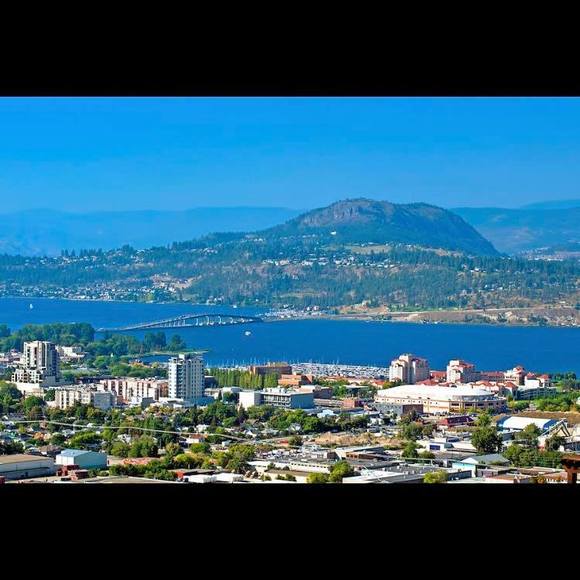 Meet your Posher, Carol - Picture 1 of 1